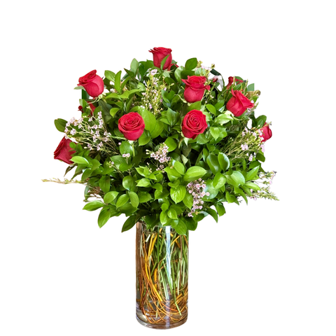 1 Dozen Primavera Roses with Wax and Ruscus