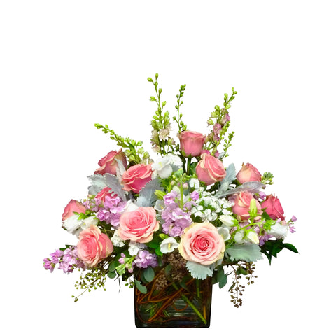 Charlotte - Standard