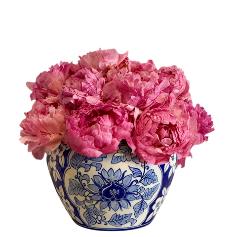 Just Peonies in Chinoiserie Container