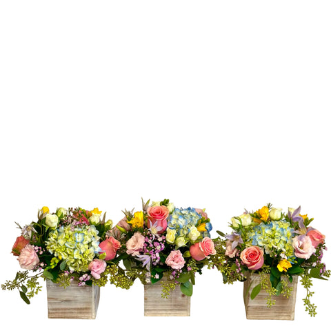 Centerpiece No. 1 - Trio