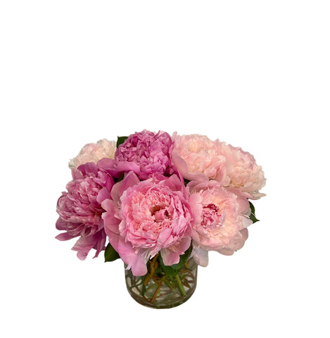 Just Peonies