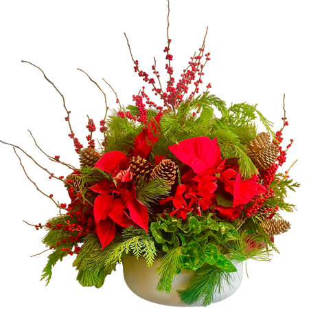 Poinsettia Planter